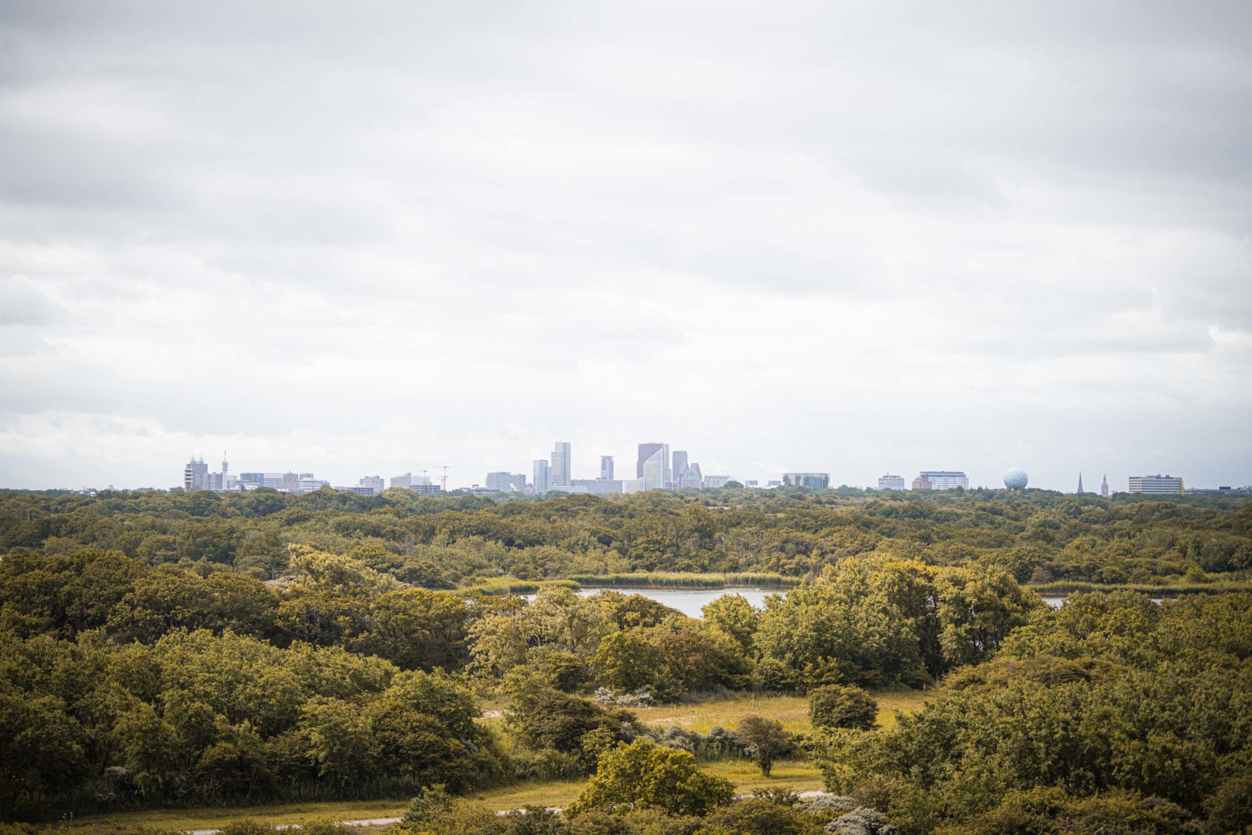 Mogelijk geurspoor van vermiste Niek de Graaf in Meijendel